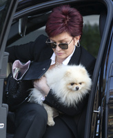 Sharon Osbourne Longsleeve T-shirt #2814309