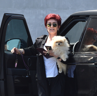 Sharon Osbourne Longsleeve T-shirt #2814633