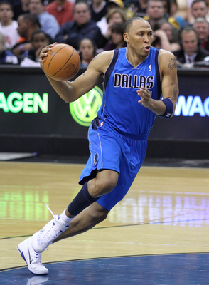Shawn Marion puzzle