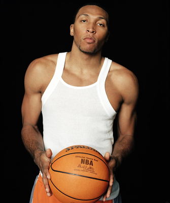 Shawn Marion Poster 3325145