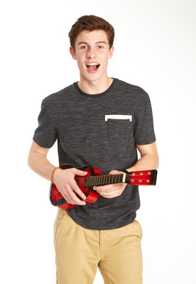 Shawn Mendes Poster 2458963