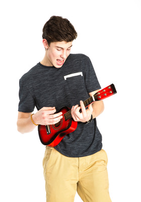 Shawn Mendes Poster 2458966