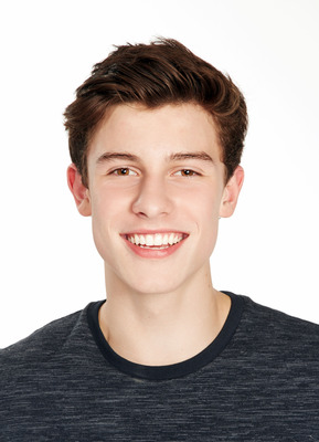 Shawn Mendes Poster 2458970