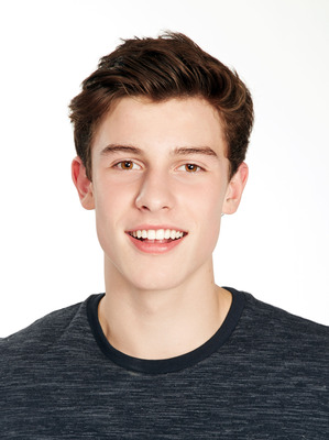 Shawn Mendes Poster 2458971