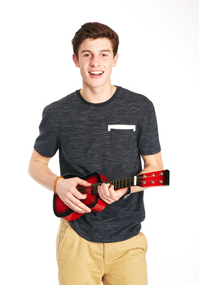 Shawn Mendes Poster 2458972