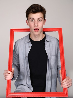 Shawn Mendes Poster 2473840