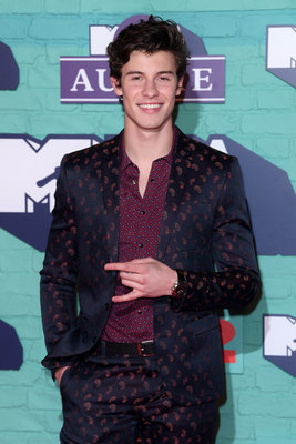 Shawn Mendes Poster 2846664