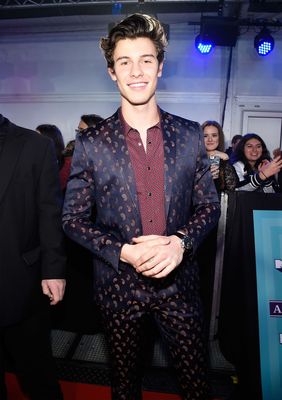 Shawn Mendes Poster 2846665