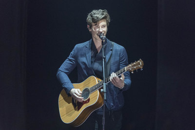 Shawn Mendes stickers 2904297