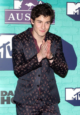 Shawn Mendes Poster 2904307