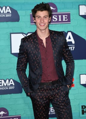Shawn Mendes Poster 2904326