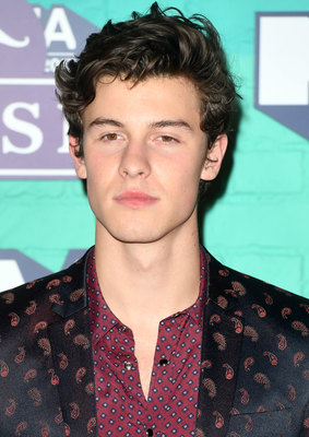 Shawn Mendes Poster 2904346