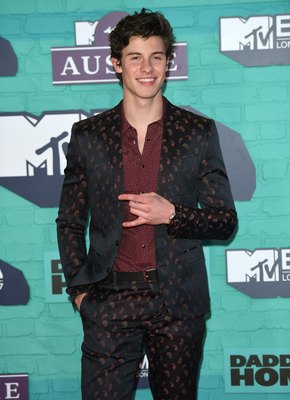 Shawn Mendes Poster 2904381