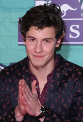 Shawn Mendes Poster 2904400