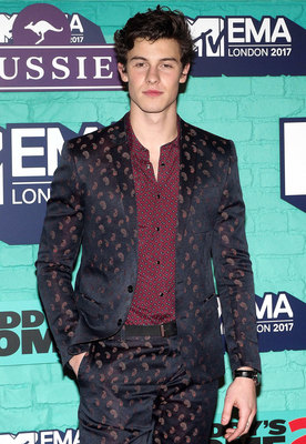 Shawn Mendes Poster 2904418