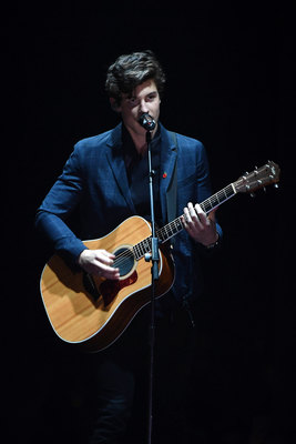 Shawn Mendes puzzle 2904420