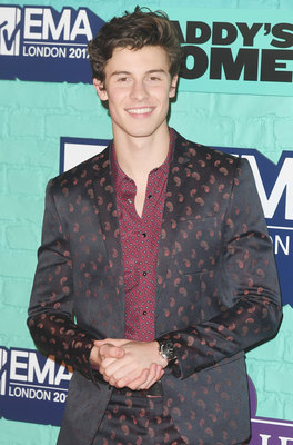 Shawn Mendes Poster 2904424