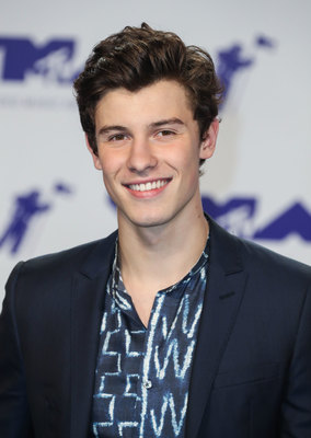 Shawn Mendes Poster 2992633