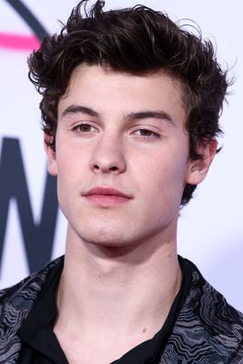 Shawn Mendes Poster 3160561