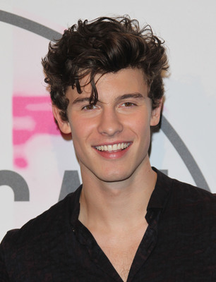 Shawn Mendes Poster 3160574