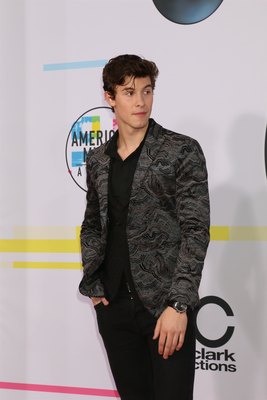 Shawn Mendes Poster 3160631