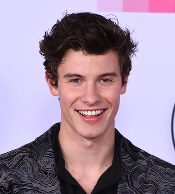 Shawn Mendes Poster 3160662