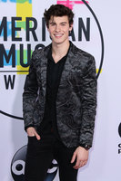 Shawn Mendes t-shirt #3160690