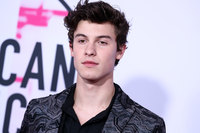 Shawn Mendes Tank Top #3160710
