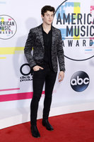Shawn Mendes t-shirt #3160714