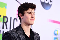 Shawn Mendes Sweatshirt #3168315