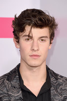 Shawn Mendes Sweatshirt #3168319