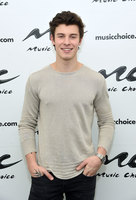 Shawn Mendes Sweatshirt #3195684