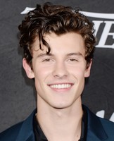 Shawn Mendes Longsleeve T-shirt #3810571