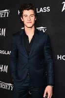 Shawn Mendes Longsleeve T-shirt #3810572