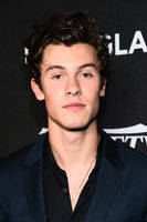 Shawn Mendes Longsleeve T-shirt #3810575