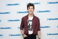 Shawn Mendes hoodie #3833414