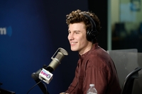 Shawn Mendes tote bag #G2450679