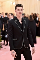 Shawn Mendes Longsleeve T-shirt #3833432