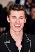 Shawn Mendes Sweatshirt #3833434