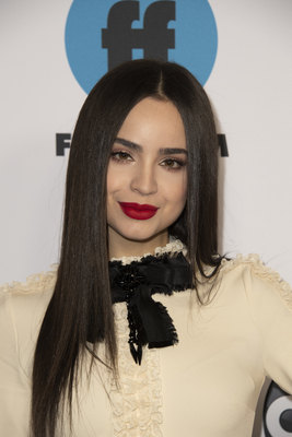 Sofia Carson posters