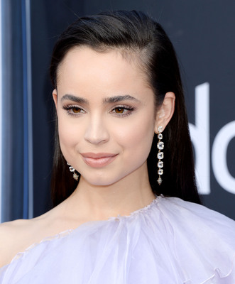 Sofia Carson posters