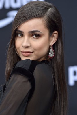 Sofia Carson posters