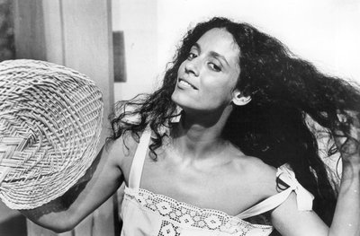 Sonia Braga puzzle 1998438