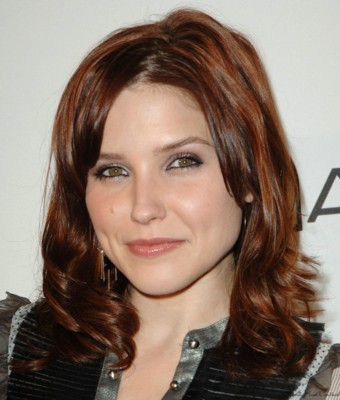 Sophia Bush posters