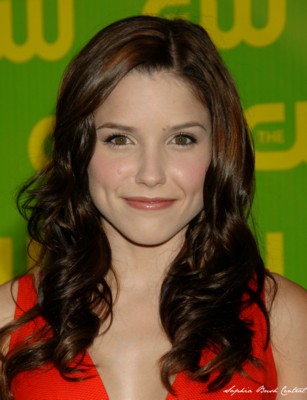Sophia Bush posters