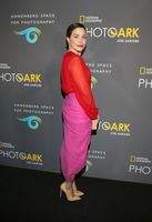 Sophia Bush tote bag #G2432884