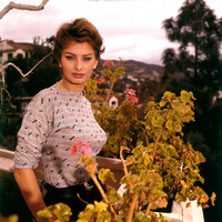 Sophia Loren Tank Top #2587364