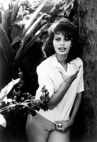 Sophia Loren Longsleeve T-shirt #2668712