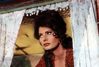 Sophia Loren mug #G911345