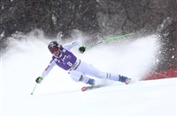 Stacey Cook tote bag #G2248906